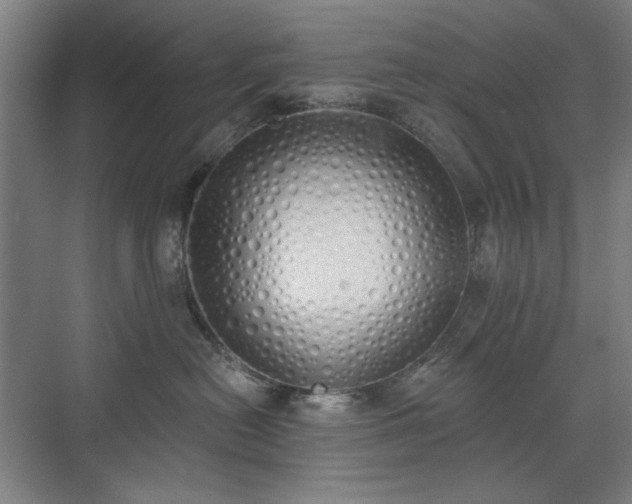 X0000071940478200607141438