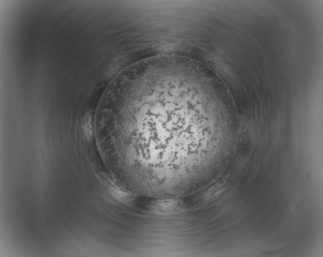 X0000071940479200607141438