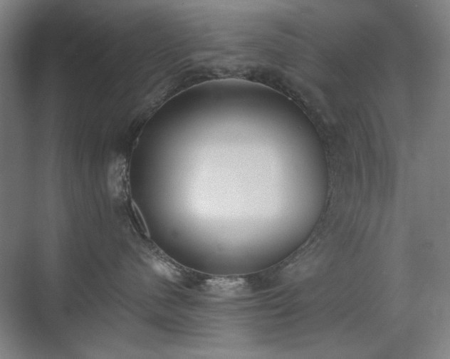 X0000071940480200607141438