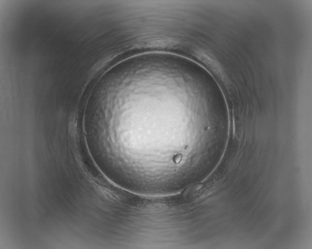 X0000071940483200607141437