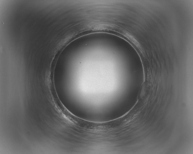 X0000071940485200607141437