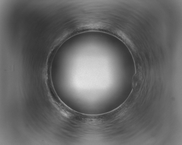 X0000071940486200607141437