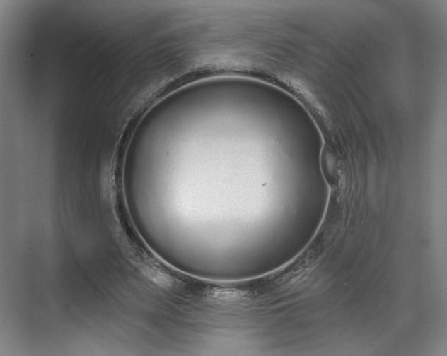 X0000071940487200607141437