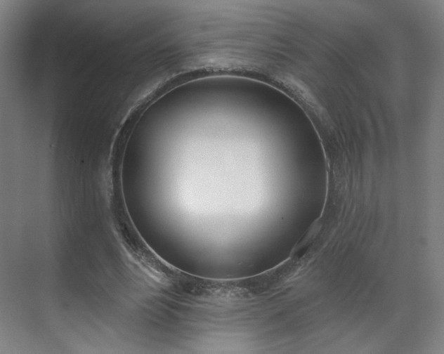X0000071940488200607141437