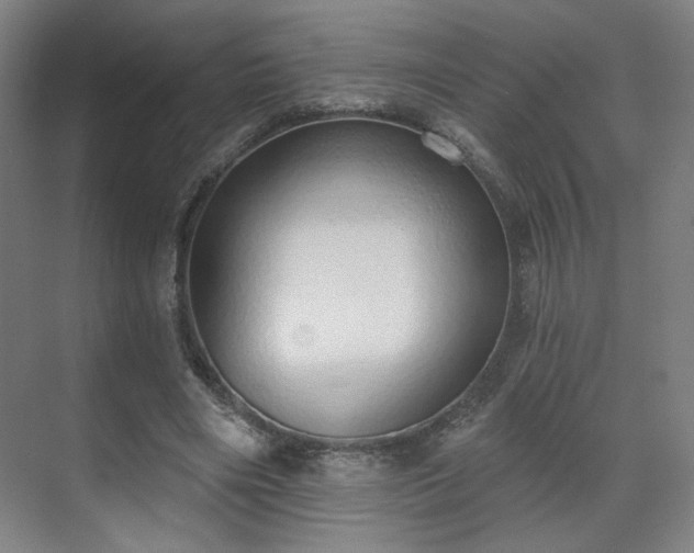 X0000071940490200607141437