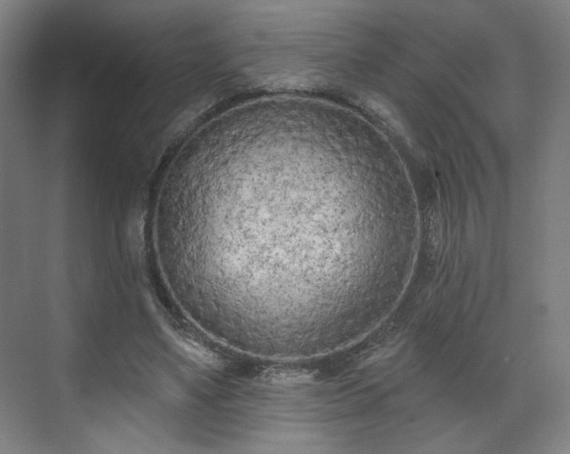 X0000071940491200607141437