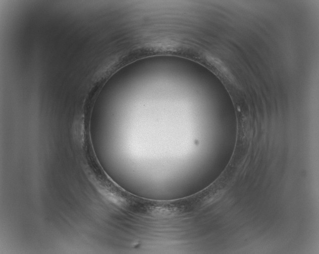 X0000071940494200607141437