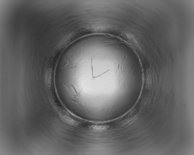 X0000071940495200607141437