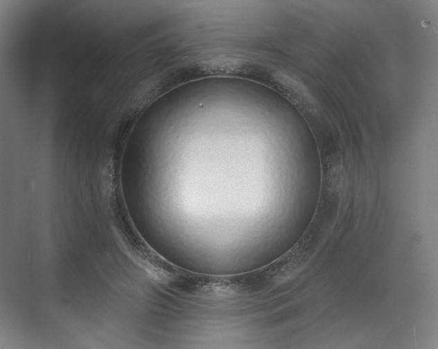 X0000071940498200607141437