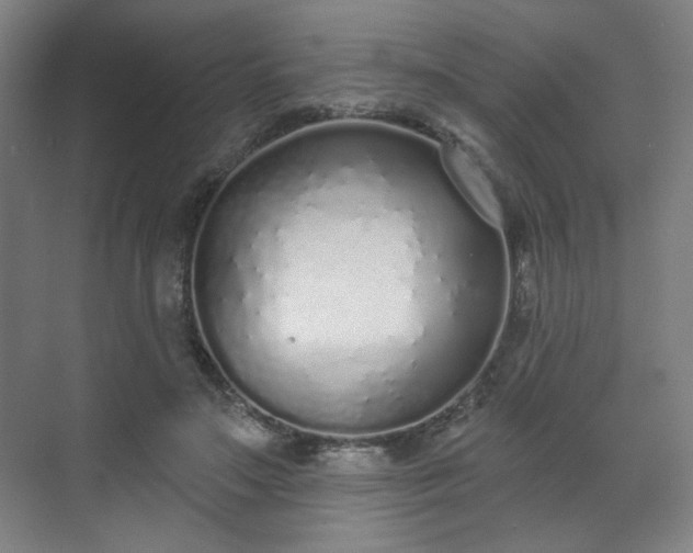 X0000071940499200607141437