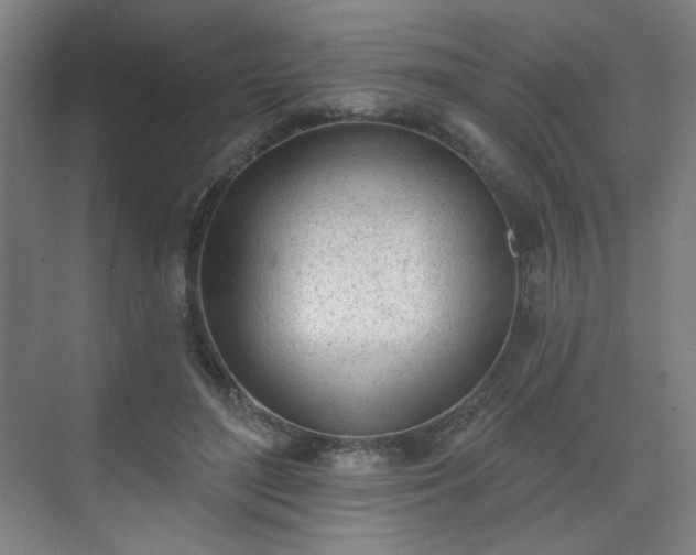 X0000071940500200607141437