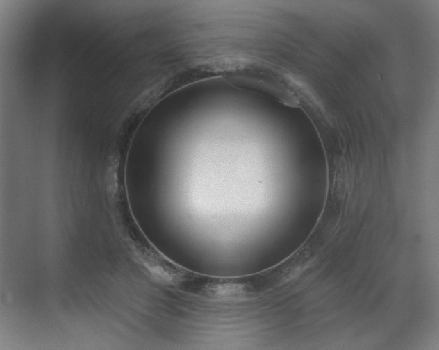 X0000071940501200607141437