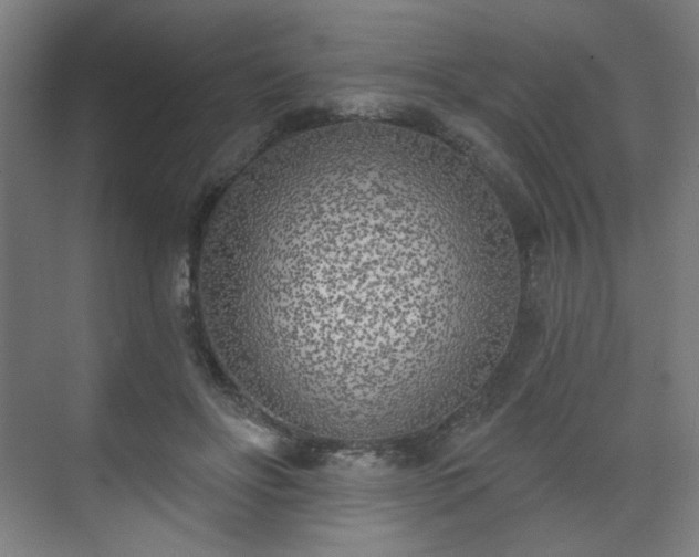 X0000071940502200607141436