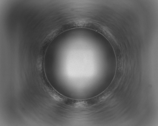 X0000071940505200607141436
