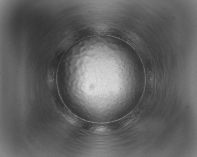 X0000071940507200607141436