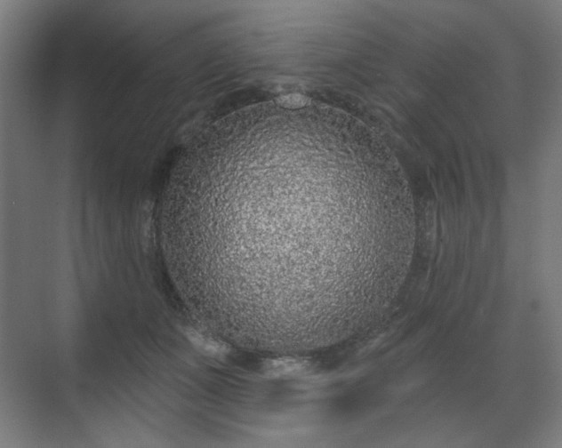 X0000071940511200607141436