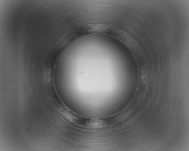 X0000071940514200607141436