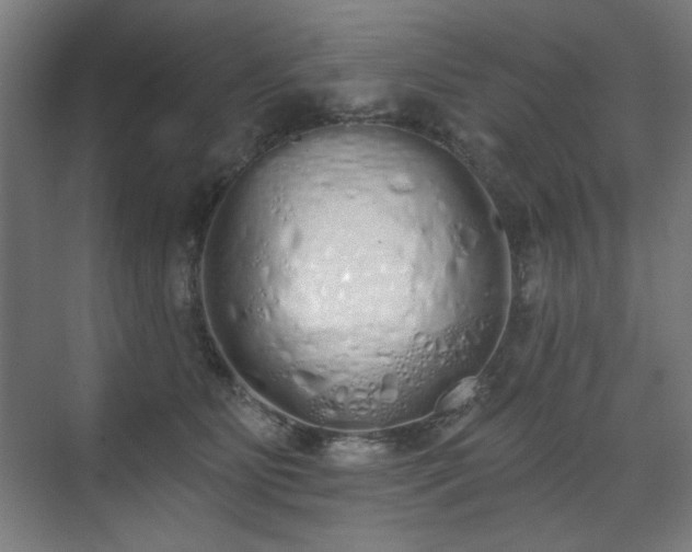 X0000071940515200607141436
