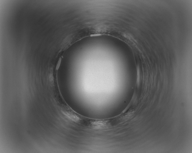 X0000071940516200607141436