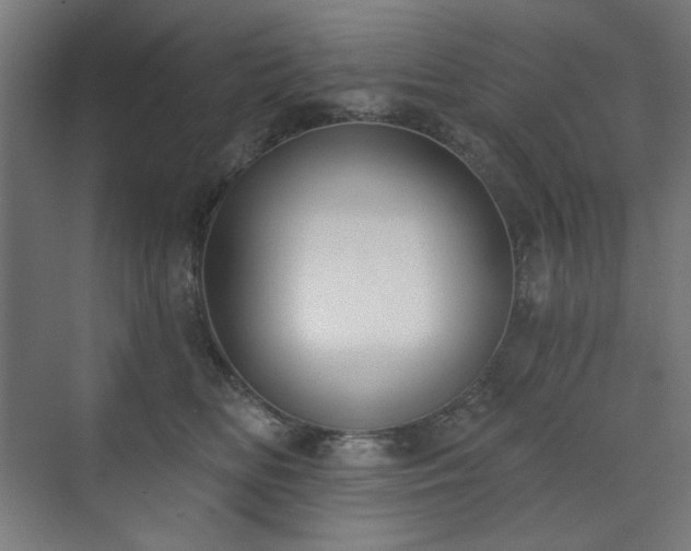 X0000071940518200607141436