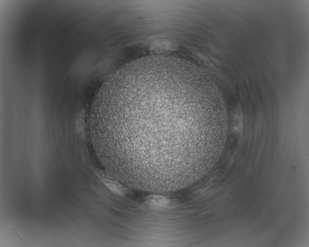 X0000071940519200607141436