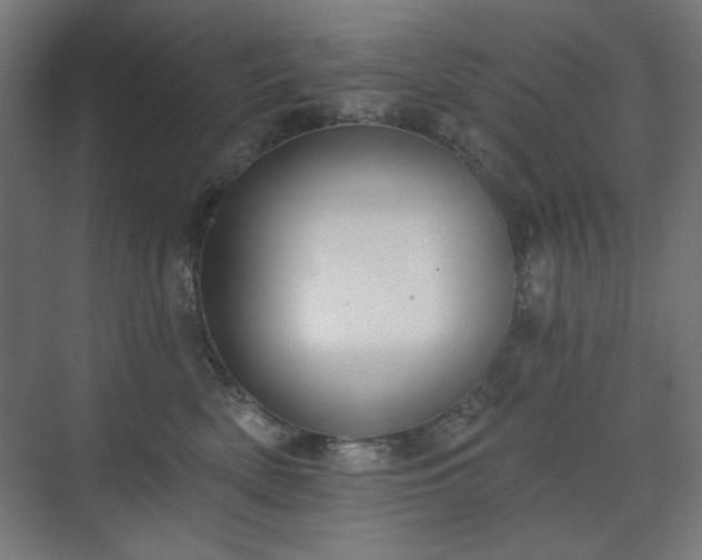 X0000071940522200607141436