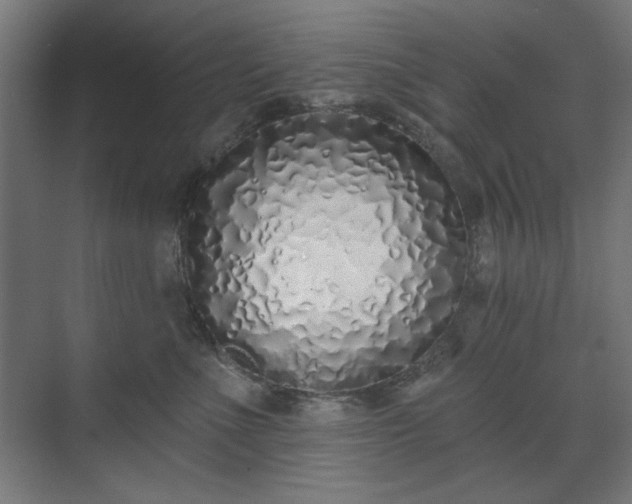 X0000071940523200607141436