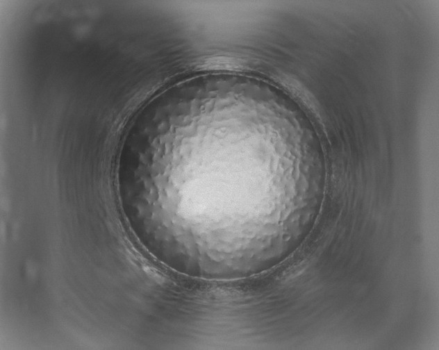 X0000071940529200607141435