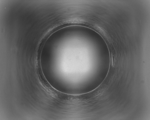 X0000071940531200607141435