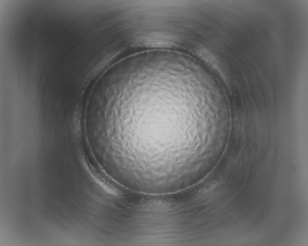 X0000071940533200607141435