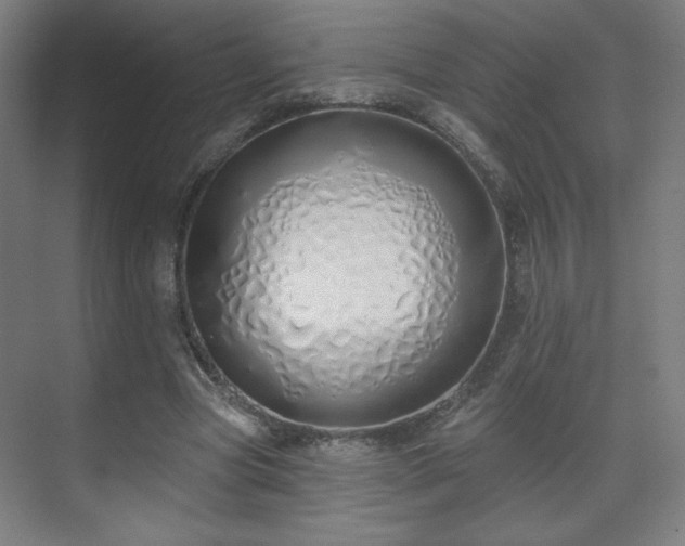 X0000071940537200607141435