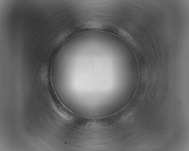 X0000071940538200607141435