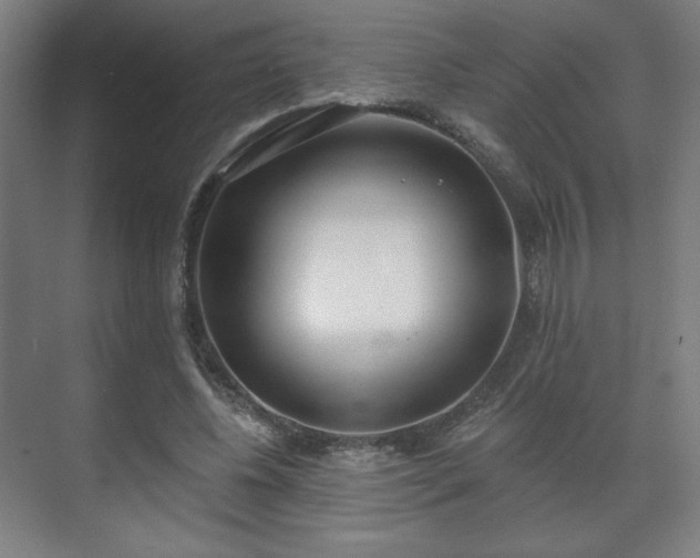 X0000071940540200607141435