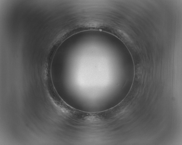 X0000071940544200607141435