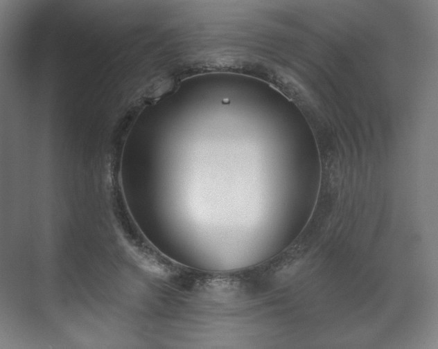 X0000071940546200607141436