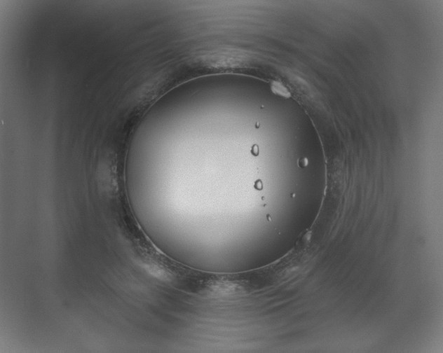 X0000071940547200607141436