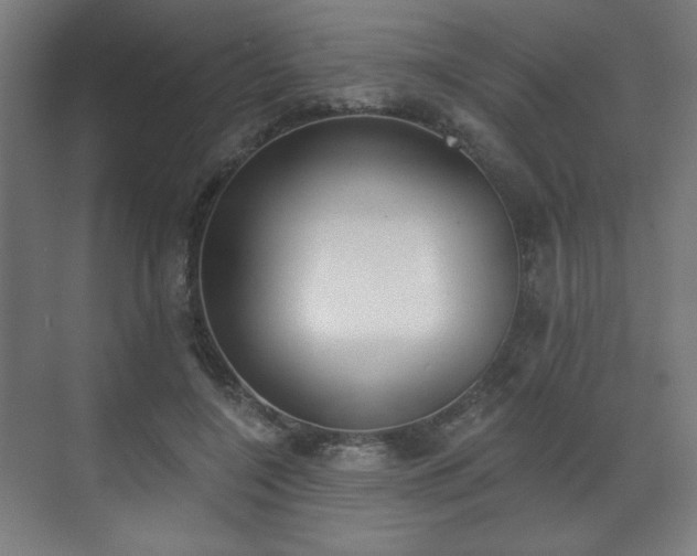 X0000071940548200607141436