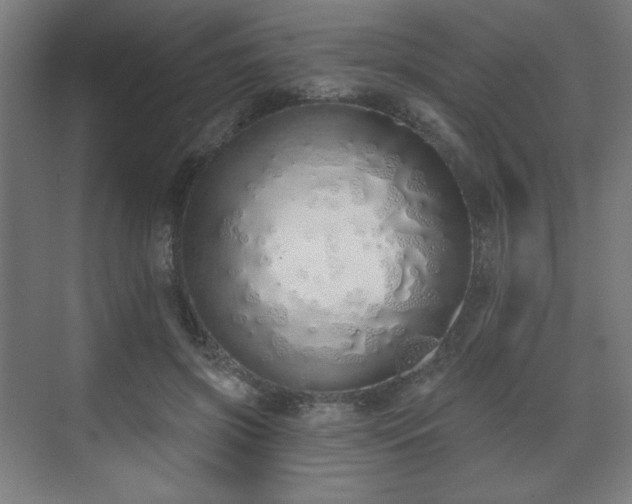 X0000071940549200607141436