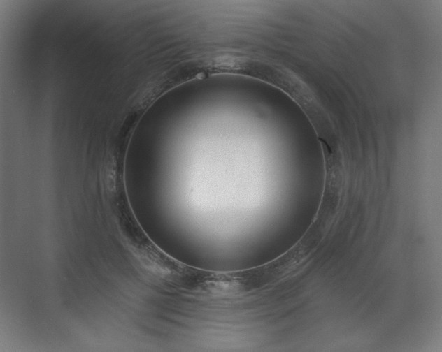 X0000071940552200607141436