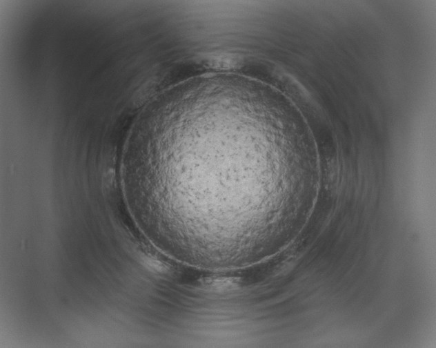 X0000071940553200607141436
