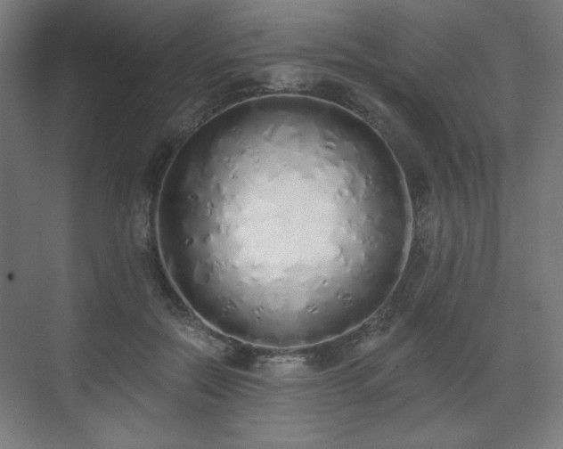 X0000071940554200607141436