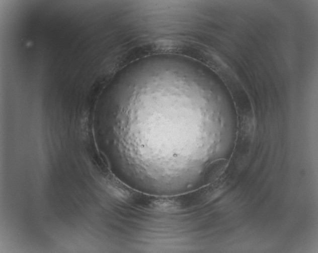 X0000071940557200607141436