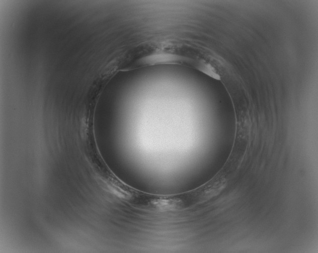 X0000071940558200607141436