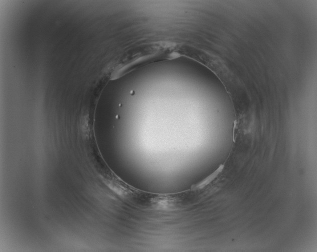 X0000071940564200607141436