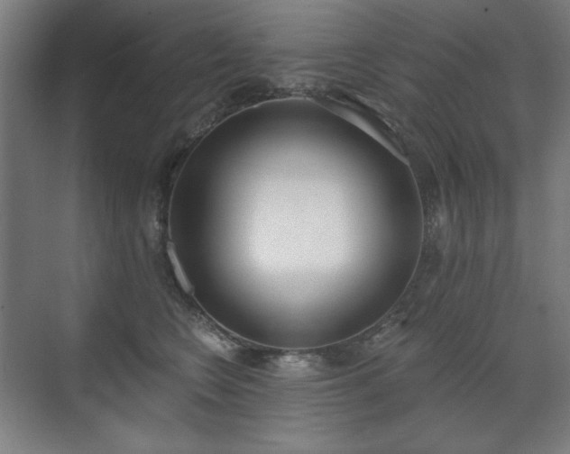 X0000071940566200607141436