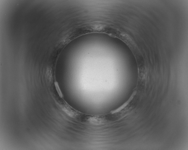 X0000071940568200607141436