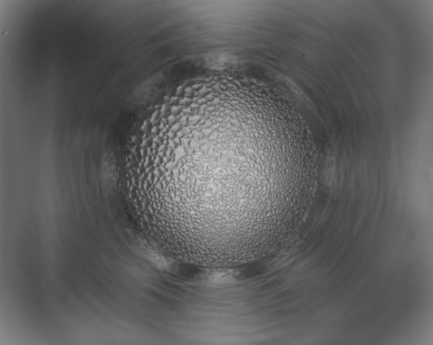 X0000071940569200607141436
