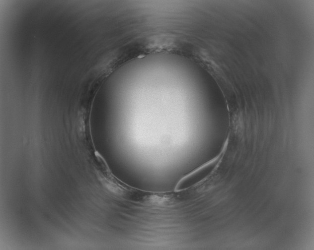 X0000071940570200607141436