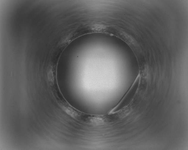 X0000071940572200607141436