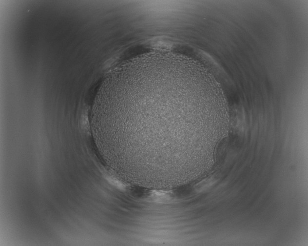 X0000071940573200607141436